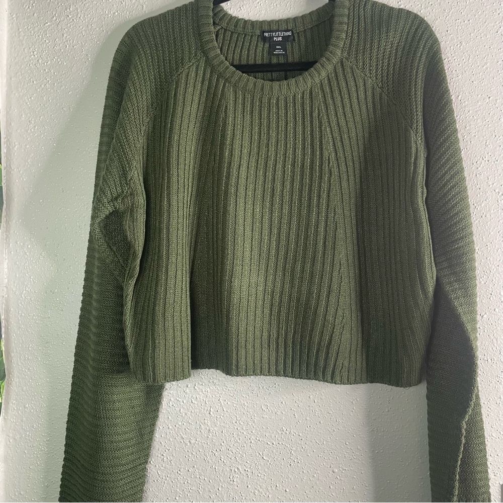 Pretty Little Thing PLUS cropped sweater